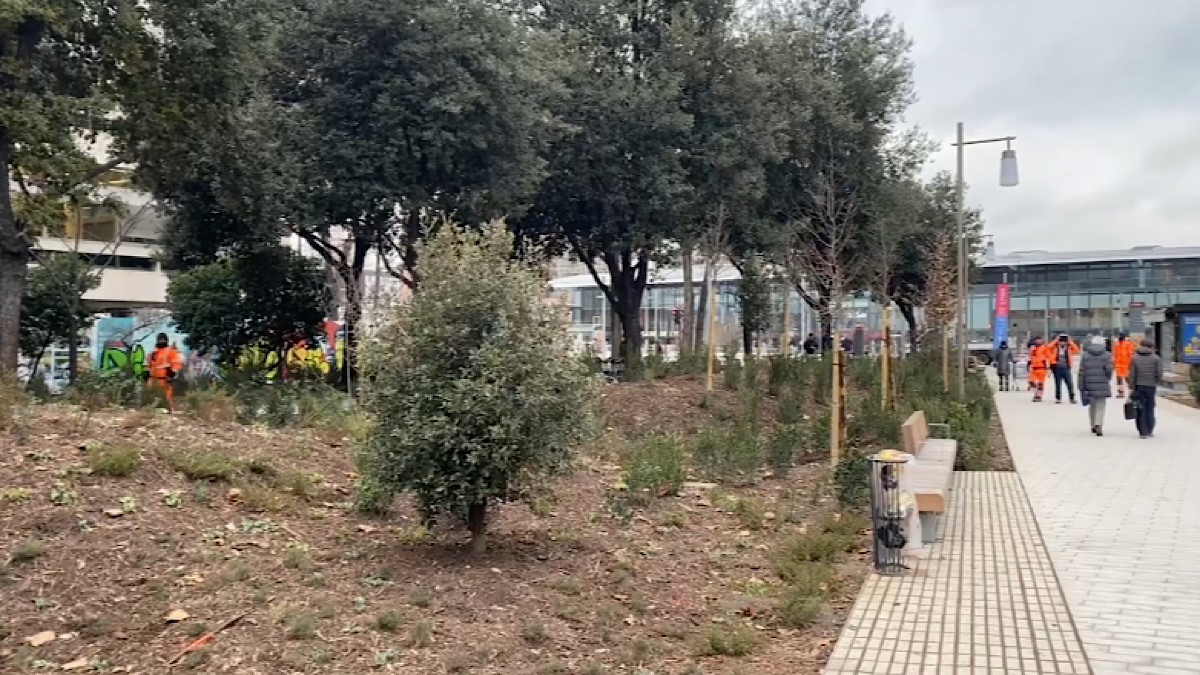 changement climatique