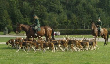une opinion publique largement favorable à un durcissement des interdictions