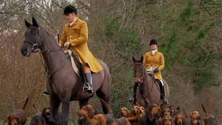 Royaume-Uni : quand les cavaliers font la chasse aux... joggeurs