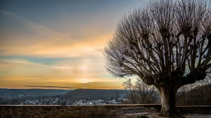 L'esplanade du château de la Madeleine à Chevreuse
