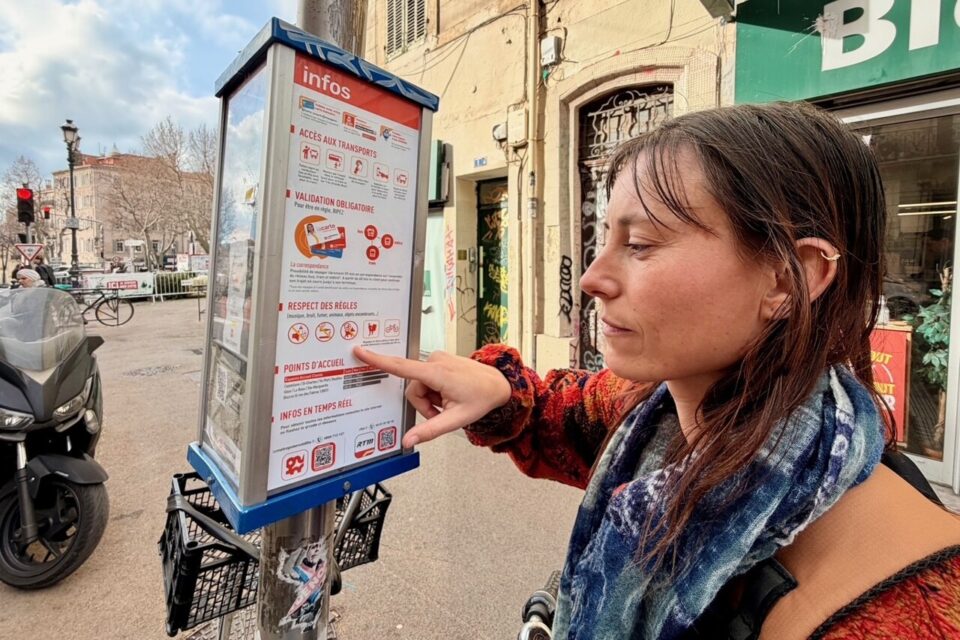 chiens transports marseille 2