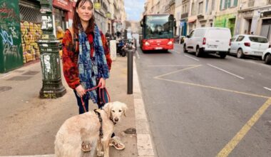 Son chien Acho est interdit sur le réseau RTM, sa maîtresse veut que ça change