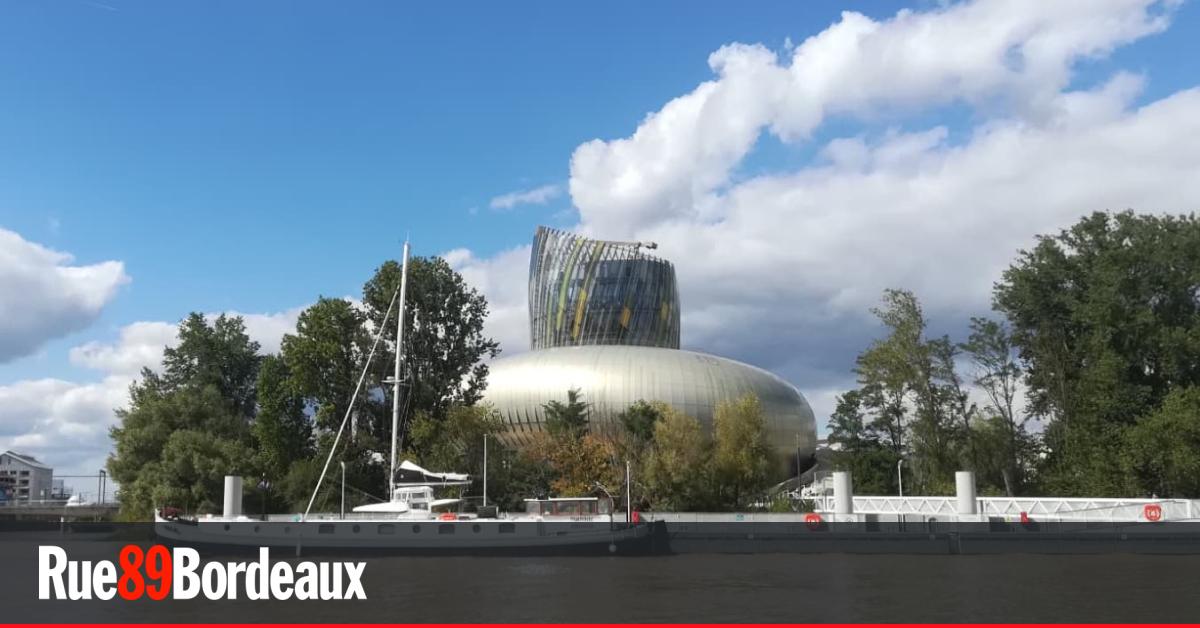 Pour les 10 ans de la Cité du Vin, une tournée d'évènements d'ici juin 2026