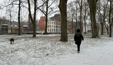 Neige-verglas. Comment circulent les bus, métro et tramway d'Ilévia ce mardi dans la métropole de Lille ?