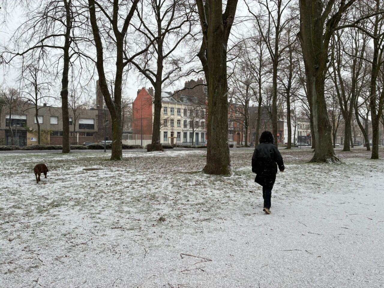 Neige-verglas. Comment circulent les bus, métro et tramway d'Ilévia ce mardi dans la métropole de Lille ?