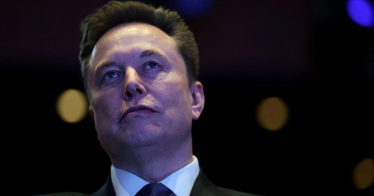 une fresque financée par Elon Musk en hommage à la réfugiée ukrainienne assassinée par un SDF suscite la polémique