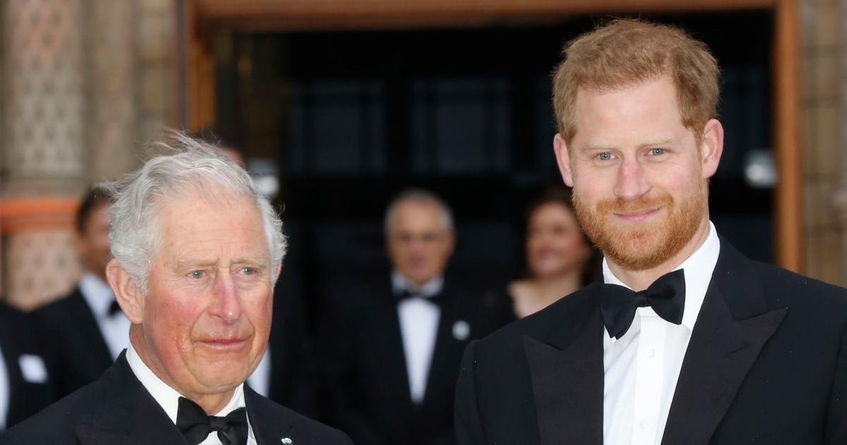 Prince Harry: vie privée, famille, pouvoir… Ce qu’il faut connaître