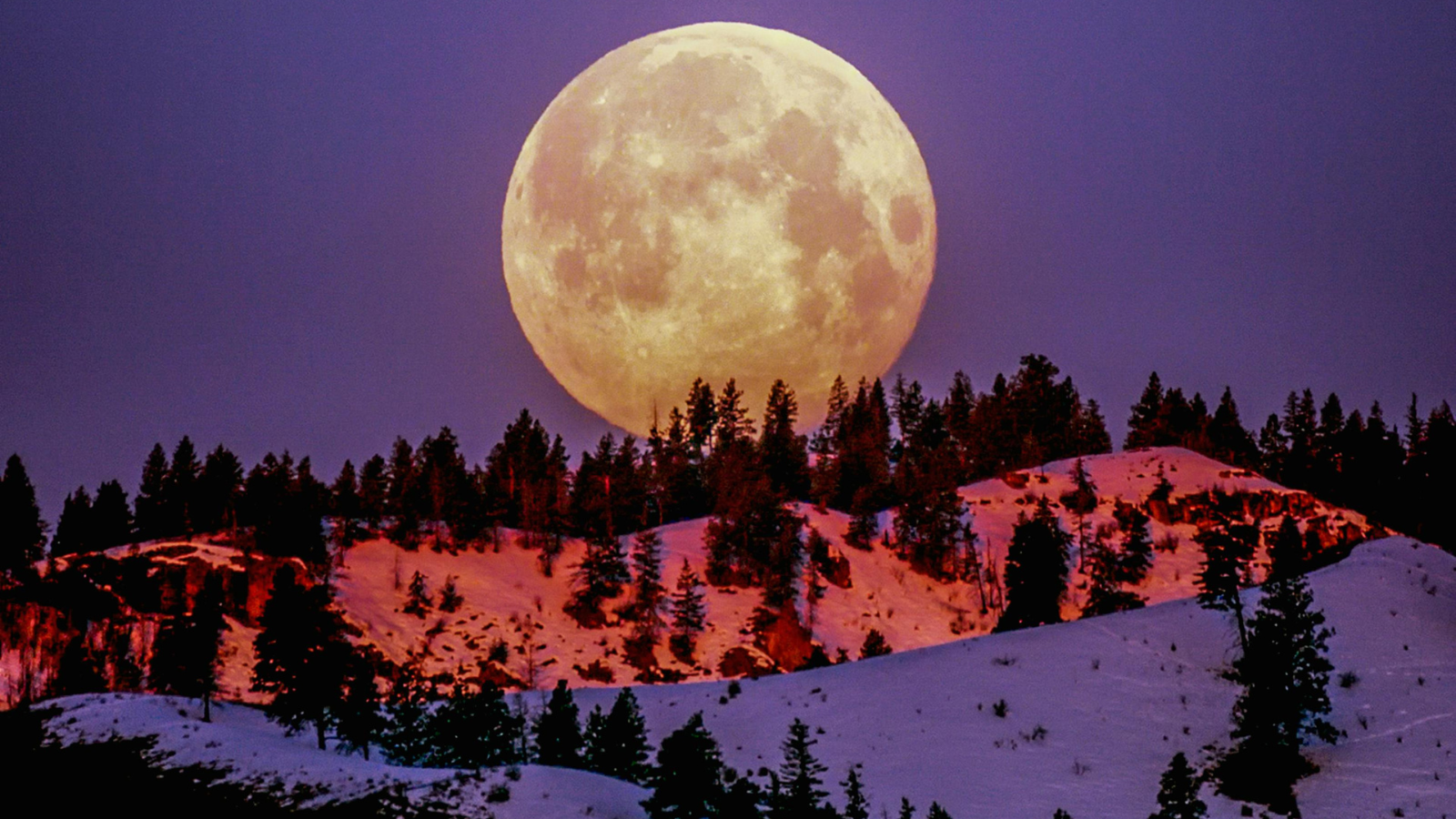 Pleine Lune des Neiges 2026 : ces 4 signes vont être bouleversés dès le 1er février, "un puissant tournant"