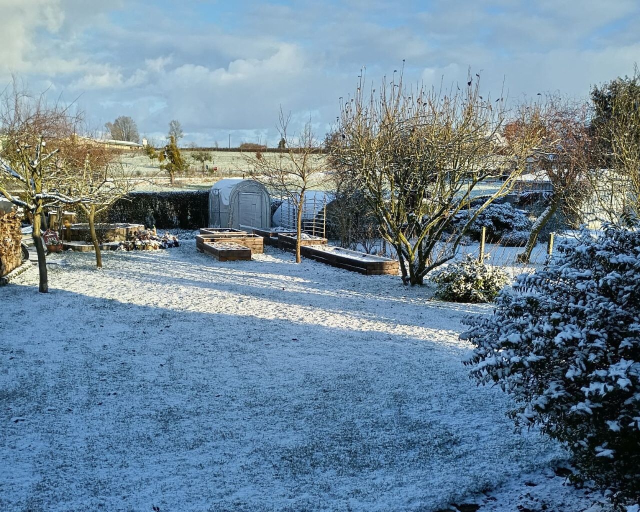 Les animaux aussi sont de sortie comme ici, &agrave; Bois-Guillaume. (&copy; A-Charlotte Simon)