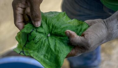 «Il y a des ressources gigantesques» : au-delà du pétrole, l’eldorado minier du Venezuela aiguise les appétits - Le Figaro