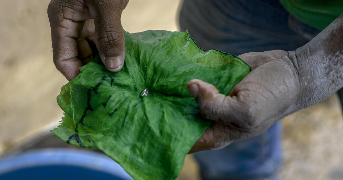 «Il y a des ressources gigantesques» : au-delà du pétrole, l’eldorado minier du Venezuela aiguise les appétits - Le Figaro
