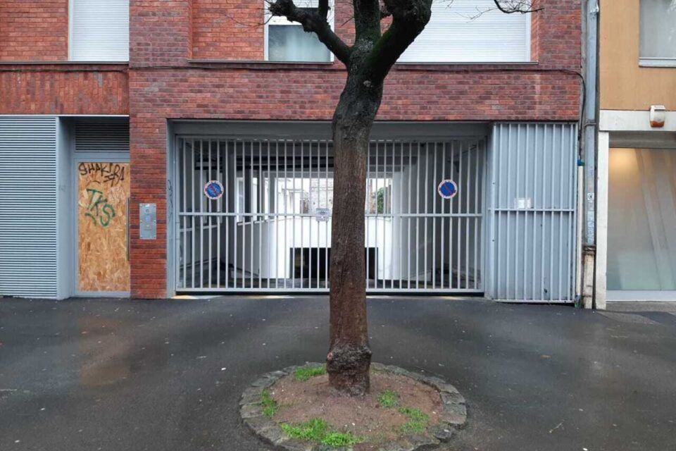 Plus anecdotique, mais cela contribue à renforcer la grogne des résidents : l'accès au parking est entravé par un arbre... pile au milieu, rue Gosselet !