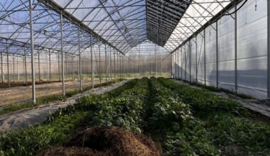 EnerVivo concrétise ses ambitions agrivoltaïques en Gironde