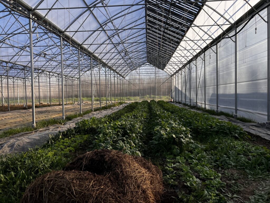 EnerVivo concrétise ses ambitions agrivoltaïques en Gironde