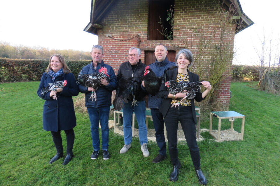 Bosc Roger sur Buchy élevage avicole Bruno Lomenède