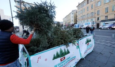 Voici où déposer son sapin de Noël à Nice