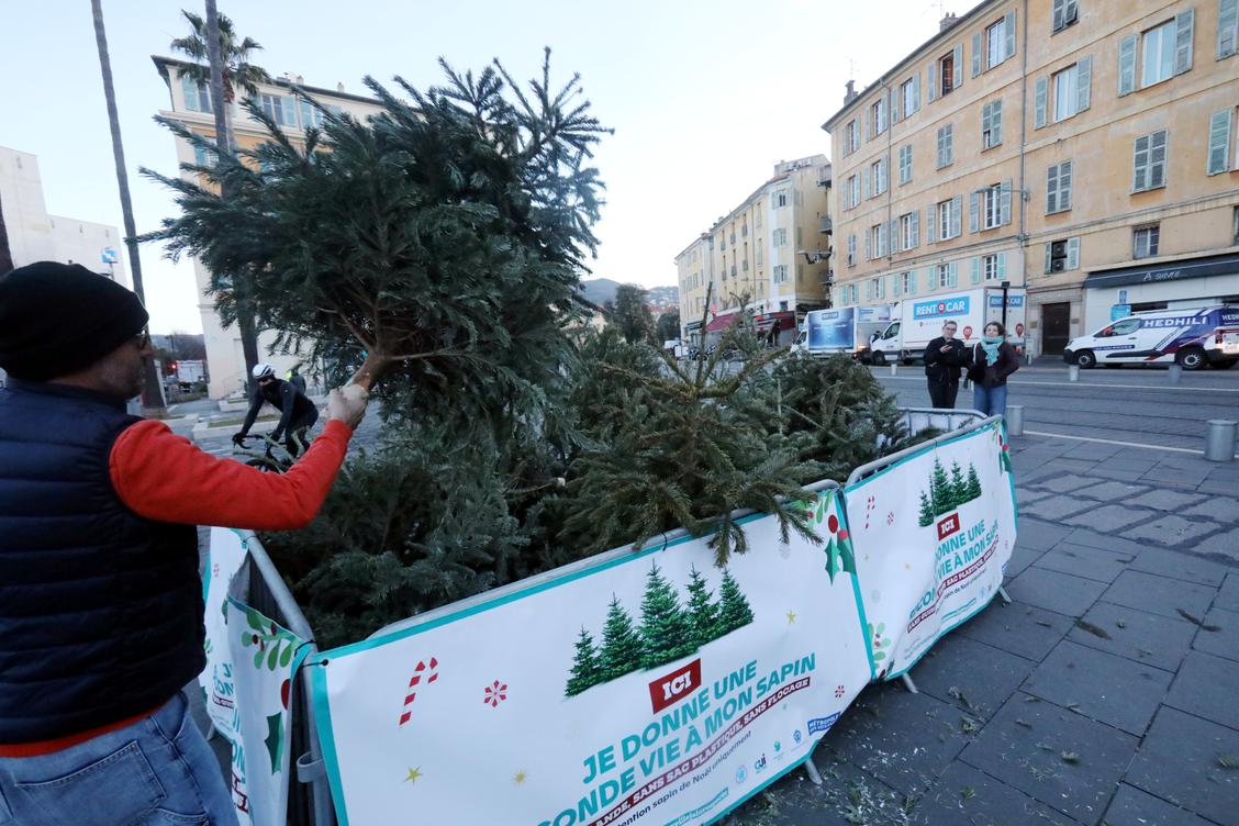 Voici où déposer son sapin de Noël à Nice