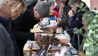 le diamant noir à l'honneur lors de la 20e fête de la truffe