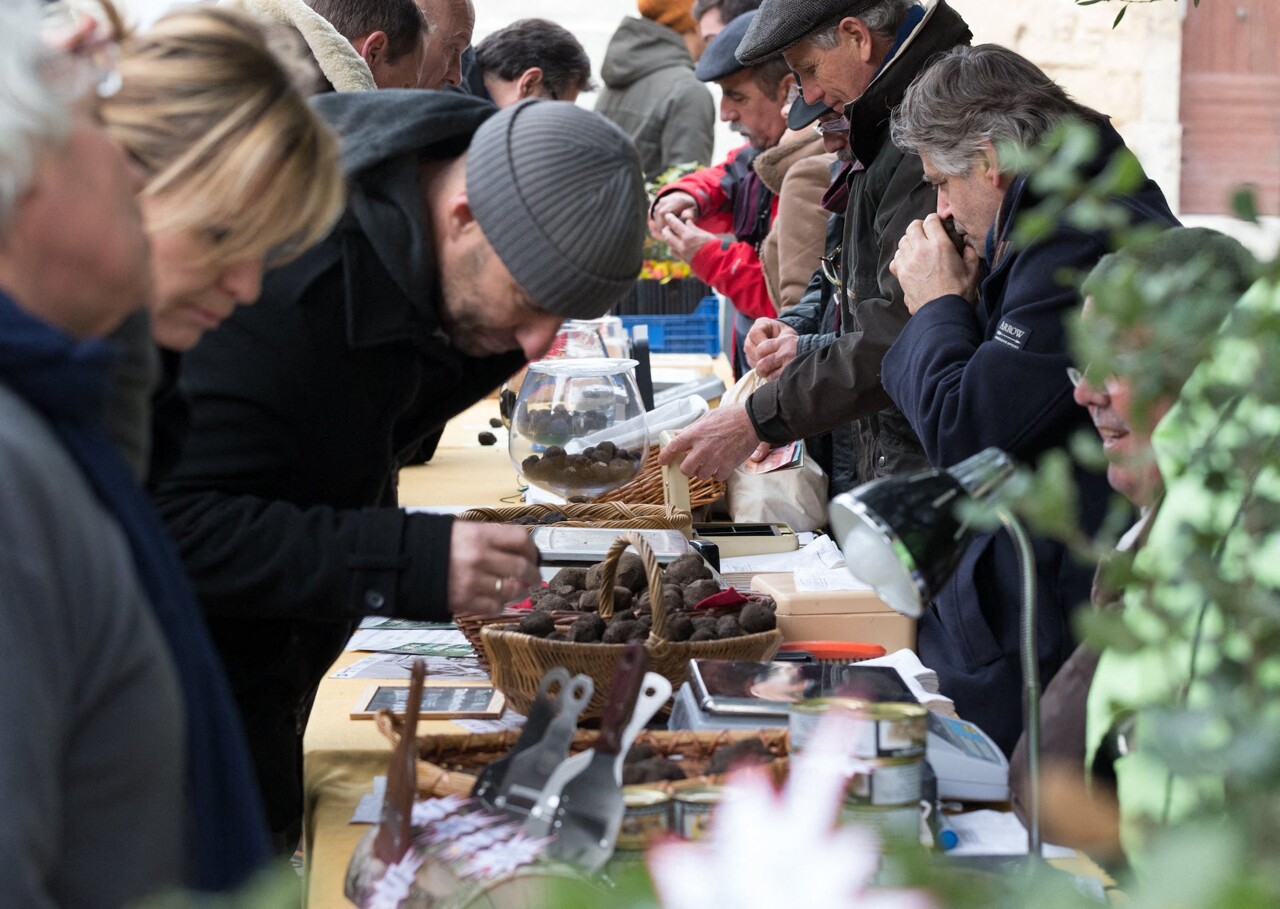 le diamant noir à l'honneur lors de la 20e fête de la truffe