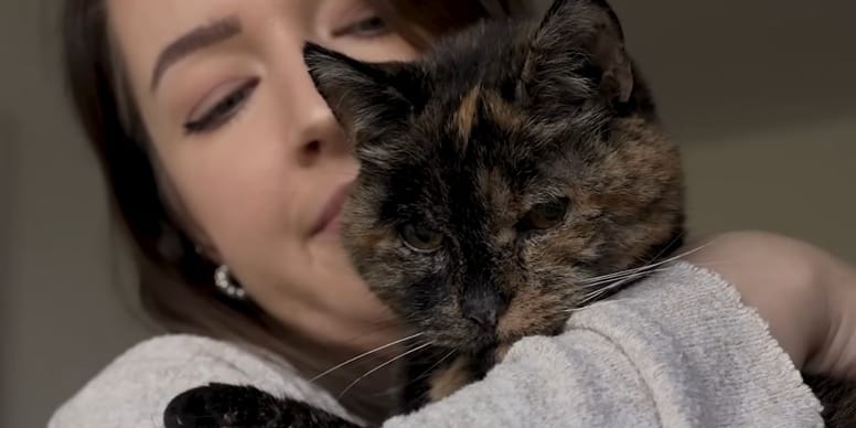 Au Royaume-Uni, cette chatte a atteint un âge record !