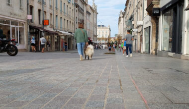 Cette ville du Grand Est est la métropole avec la meilleure qualité de vie de France, d'après cette étude