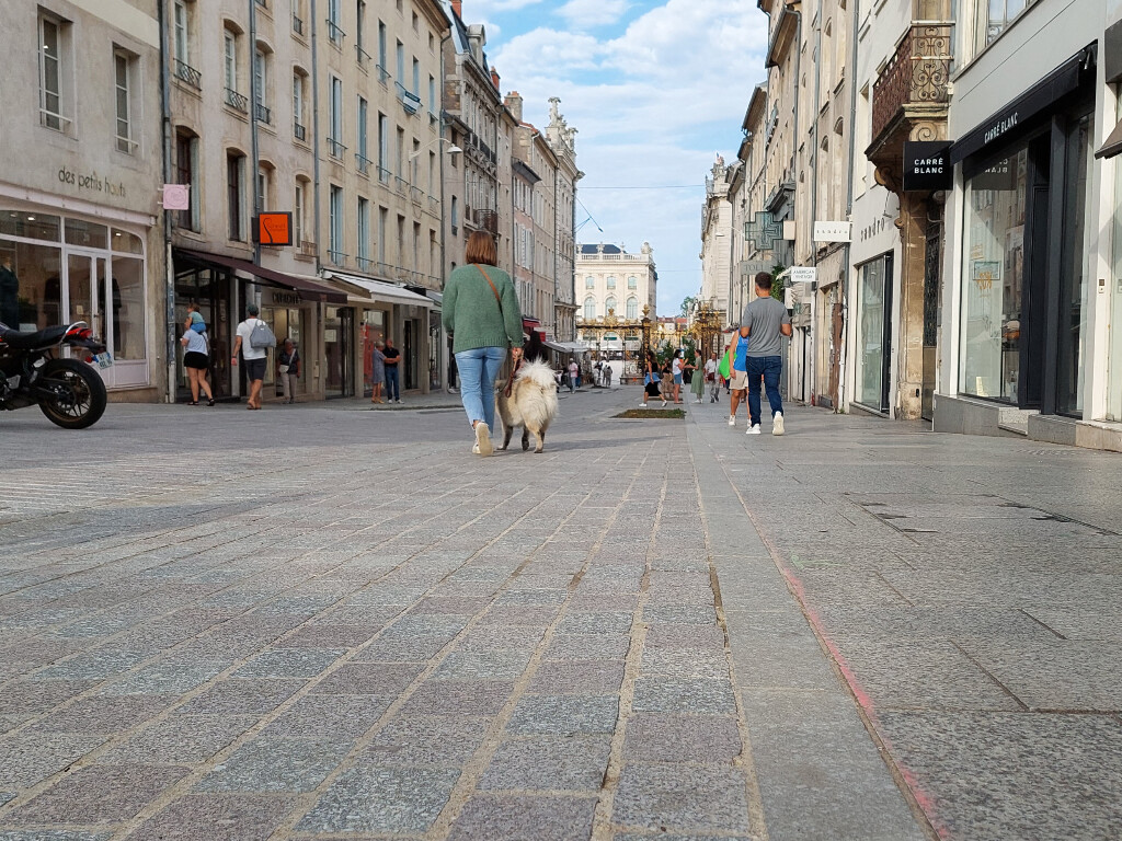 Cette ville du Grand Est est la métropole avec la meilleure qualité de vie de France, d'après cette étude