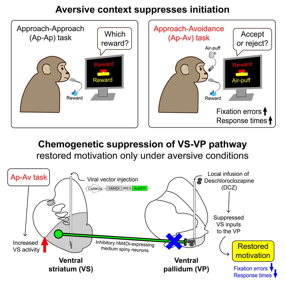 procrastination test
