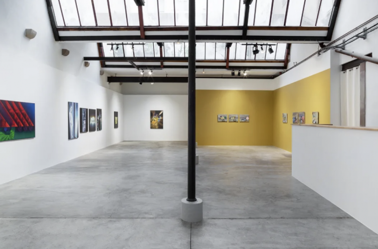 Galerie East Jean-Claude Meynard (2)