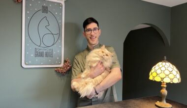 Lyon. Le premier hôtel de luxe pour chats ouvre en Presqu'île avec de véritables chambres