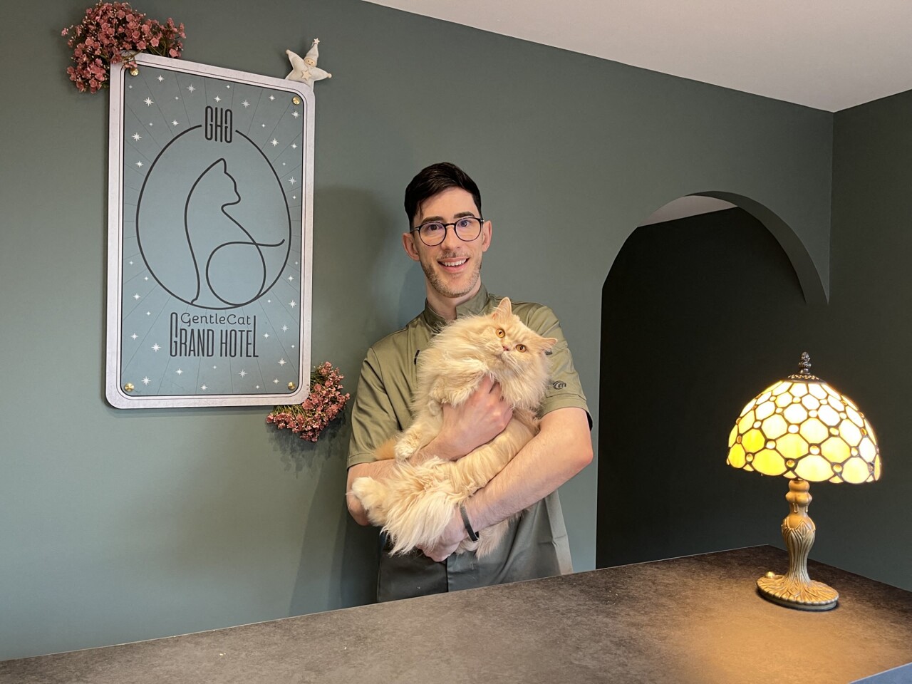 Lyon. Le premier hôtel de luxe pour chats ouvre en Presqu'île avec de véritables chambres