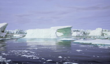 Un étrange cimetière marin datant de plusieurs millénaires découvert en Russie