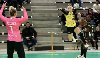 deux matches de gala fin mai au Palais des Sports de Marseille ?