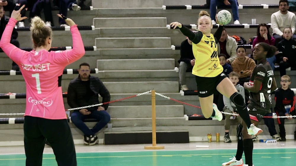 deux matches de gala fin mai au Palais des Sports de Marseille ?