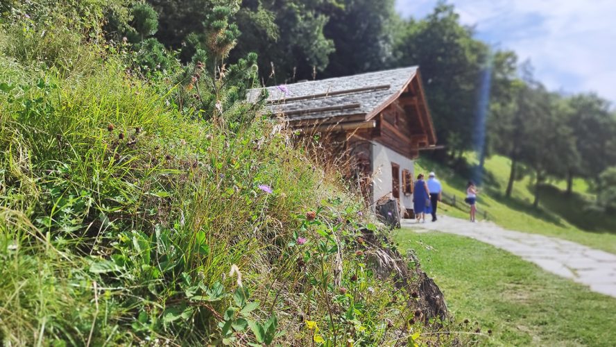 Heididorf (37) Heidi Suisse