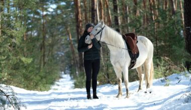Nos idées sorties du week-end des 16, 17 et 18 janvier 2026 dans la Loire