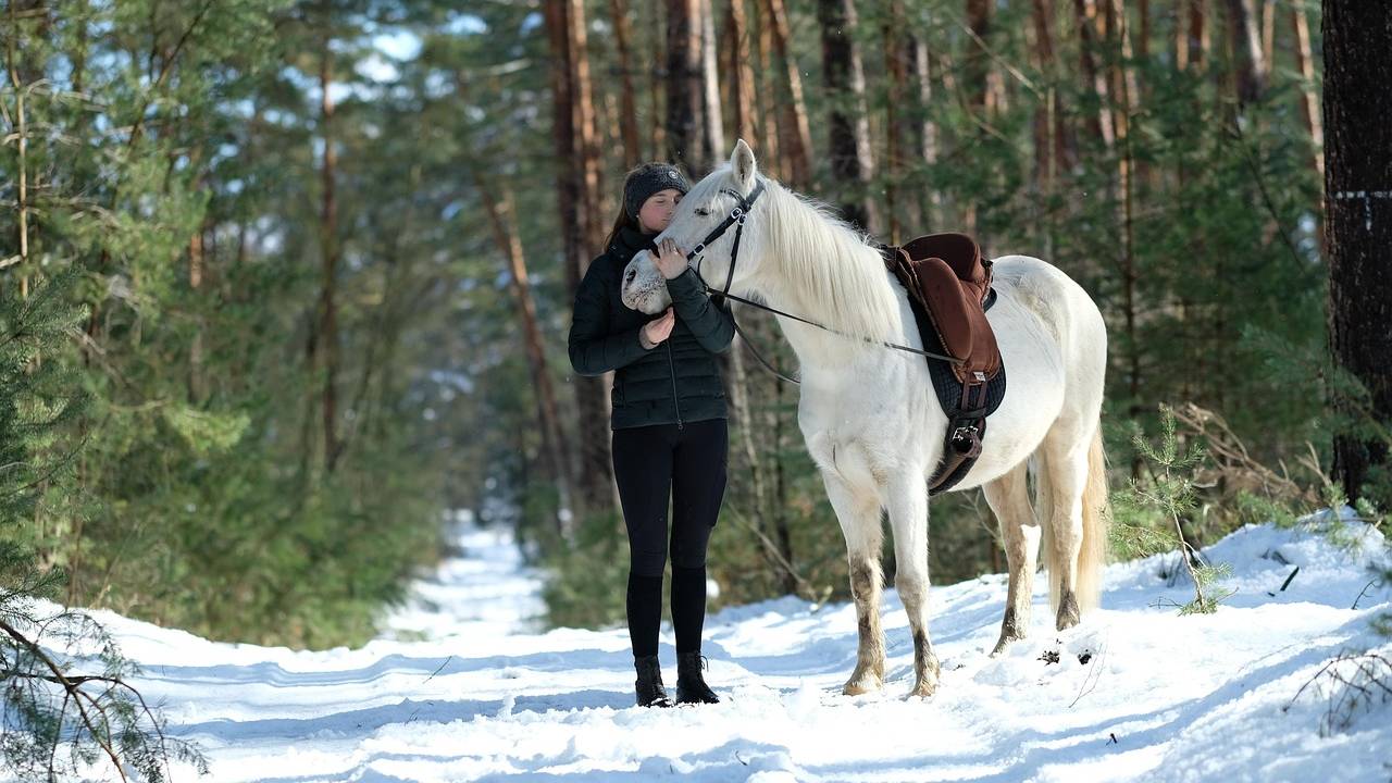 Nos idées sorties du week-end des 16, 17 et 18 janvier 2026 dans la Loire