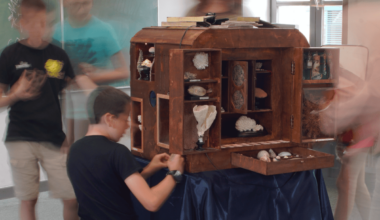 Elèves découvrant un cabinet de curiosités dans leur classe