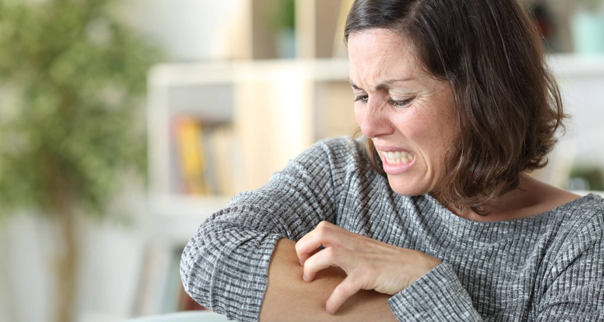 La déforestation a un effet secondaire qui vous rend complètement dingue à chaque été