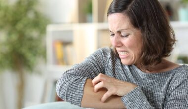 La déforestation a un effet secondaire qui vous rend complètement dingue à chaque été