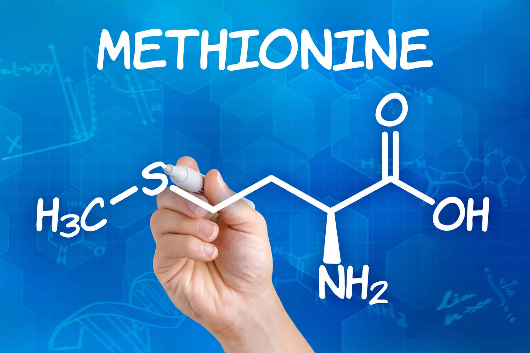 metformine