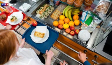 Cantines scolaires : Sébastien Lecornu veut bannir les produits hors UE des assiettes