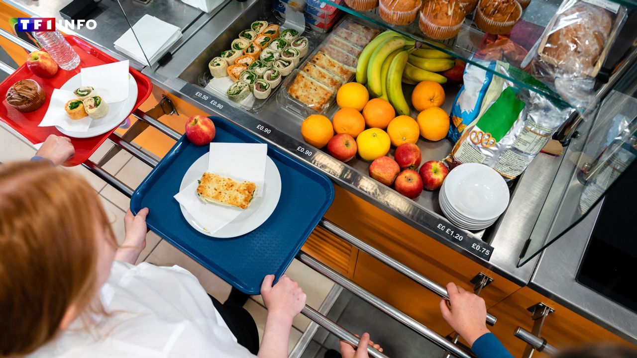 Cantines scolaires : Sébastien Lecornu veut bannir les produits hors UE des assiettes