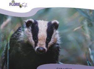 Illustration Rendez-vous Nature de Laxou  "Nous sommes les oubliés"