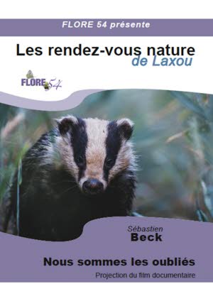 Illustration Rendez-vous Nature de Laxou  "Nous sommes les oubliés"