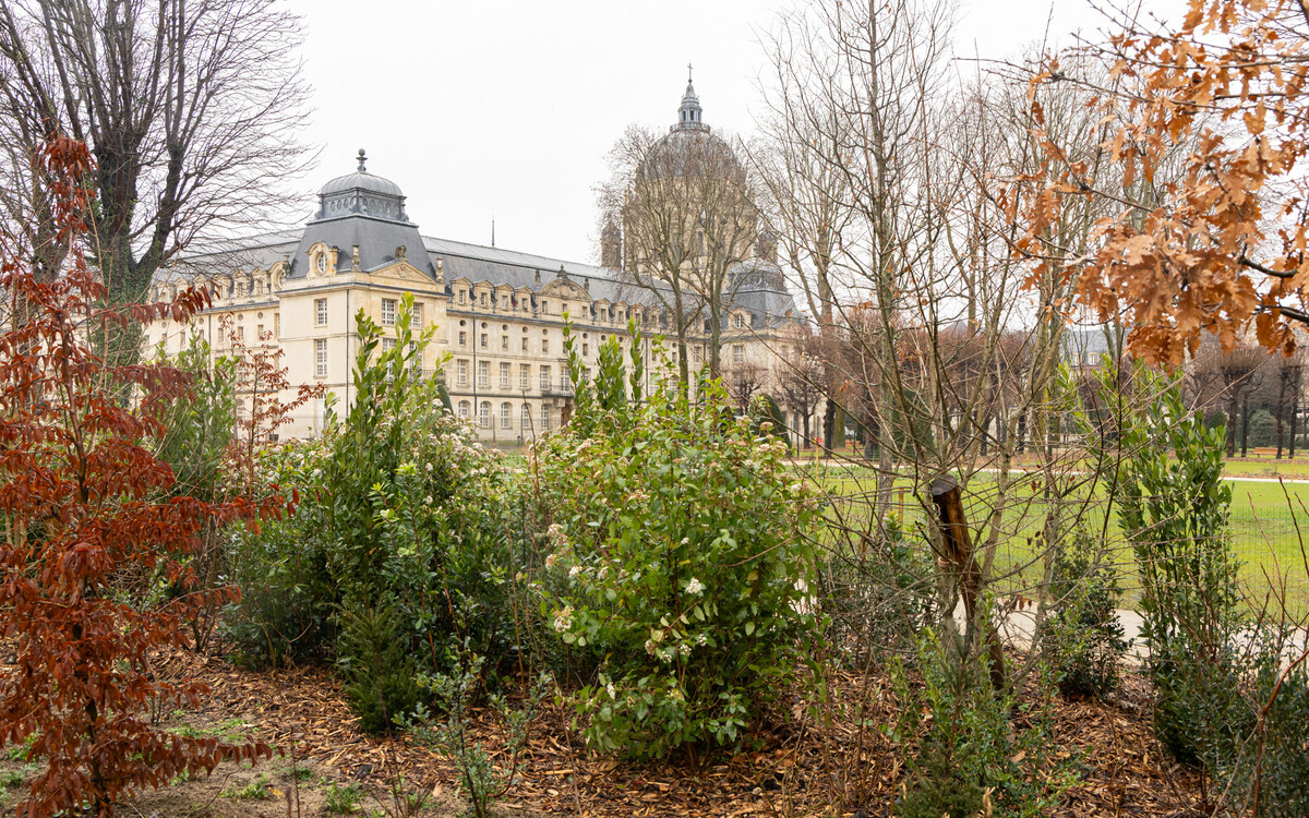 Fermés dix ans, ces immenses jardins sur un site historique en plein cœur de Paris rouvrent au public