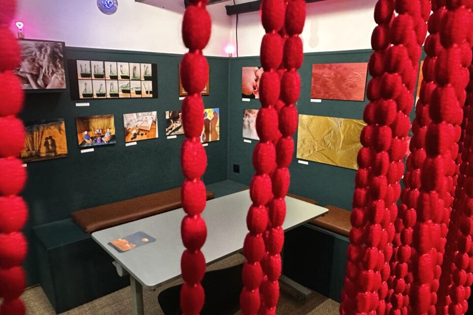 Une prise de vue de l'exposition. 