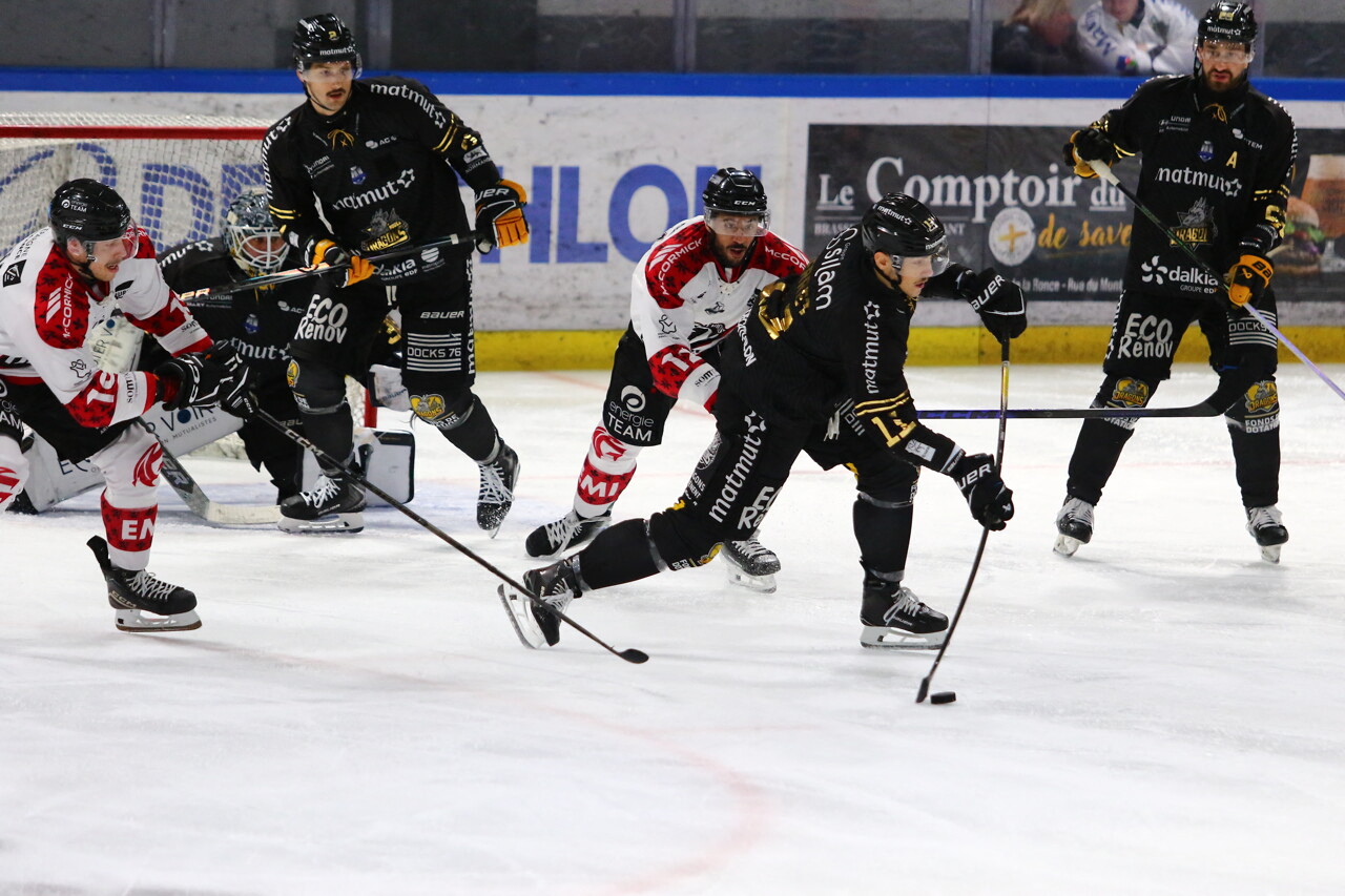 Hockey sur glace. Les Dragons de Rouen à la conquête de leur septième Coupe de France