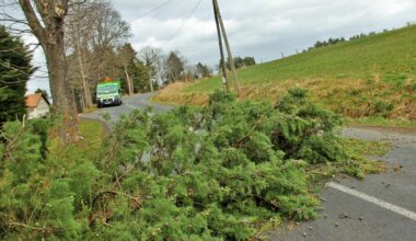 arbres tombés, câbles arrachés… Quelles conséquences en Ille-et-Vilaine ? On fait le point