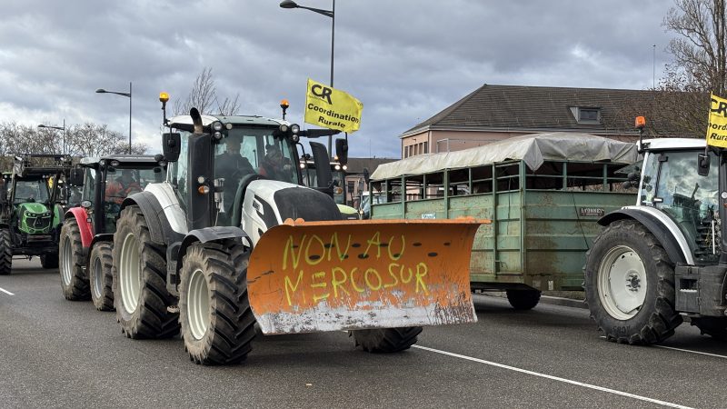 Manifestation agriculteurs Mercosur Strasbourg