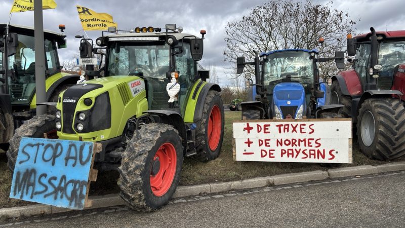 Manifestation agriculteurs Mercosur Strasbourg